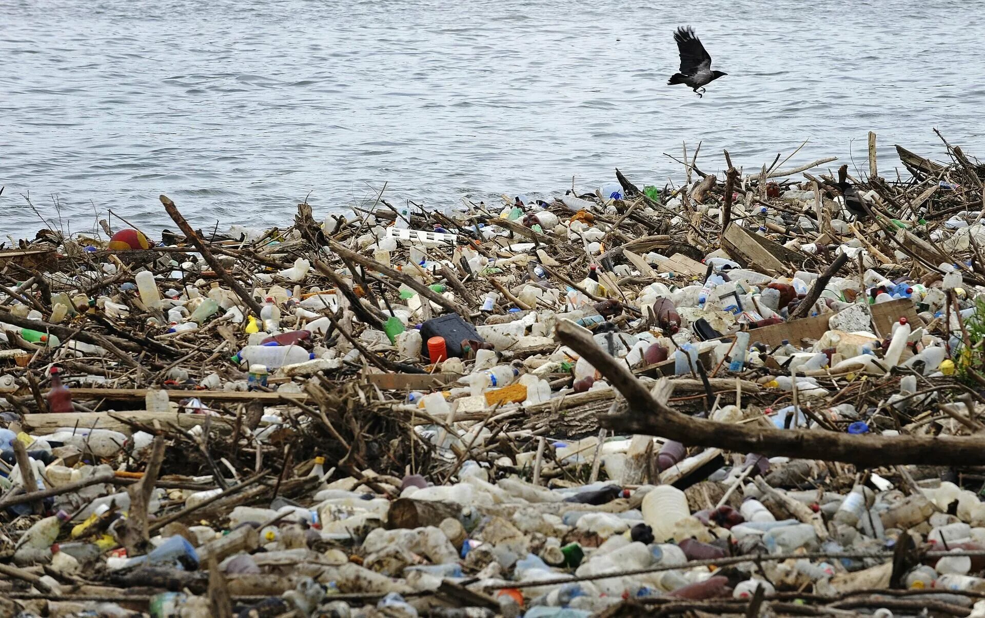 Pollution pictures. Экологическая катастрофа. Зоологическая катастрофа. Человек загрязняет природу.