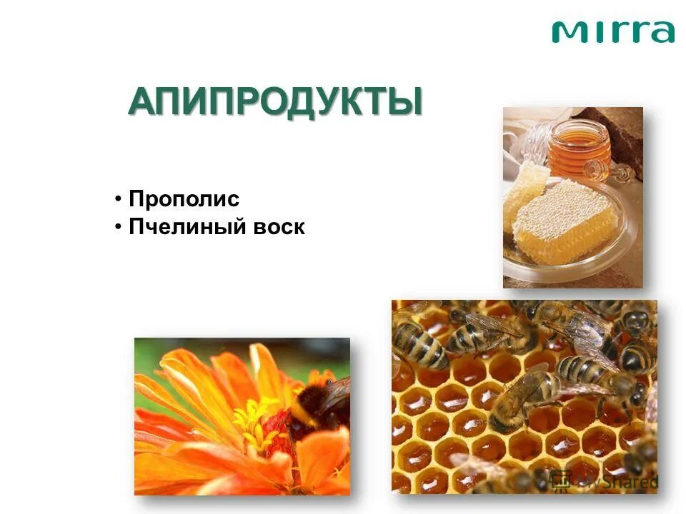 Что такое прополис пчелиный из чего состоит. Что такое прополис пчелиный из чего состоит. Прополис. Прополис. Состав прополиса пчелиного химический.