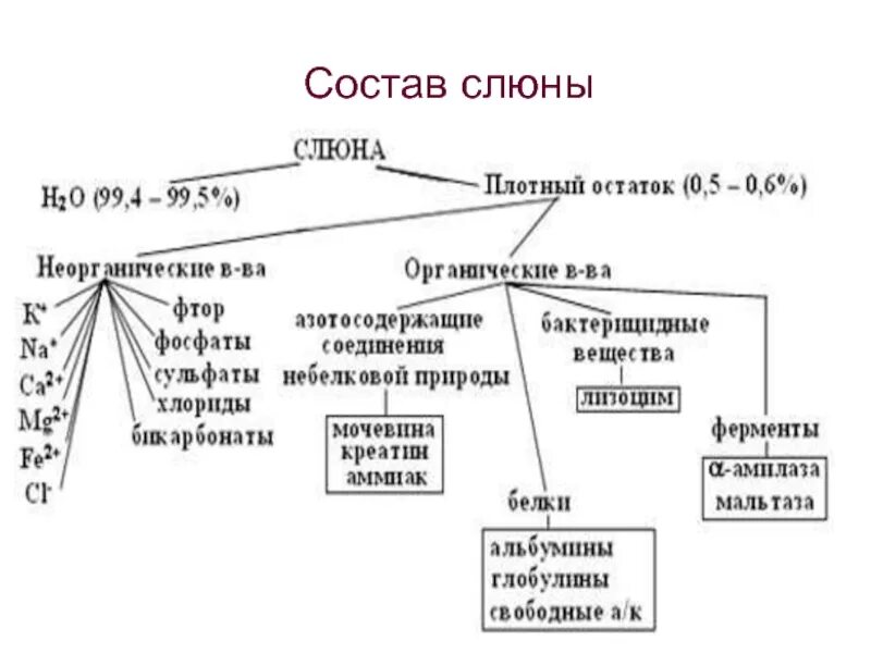 Составляющие слюны. Таблица состав ротовой жидкости. Химический состав слюны химия. Химический состав ротовой жидкости. Состав слюны.