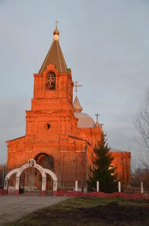 Домачи лев толстовского. Домачи лев толстовского. Домачи лев толстовского. Домачи лев толстовского. Домачи.
