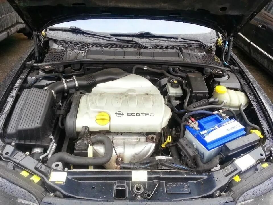 Двигатель опель вектра б 1.8. Двигатель Opel Vectra b z18xe. Opel Vectra b 1.8 мотор. Опель Вектра б 1.8 мотор. Опель Вектра б x18xe.