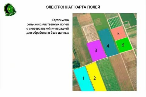 Сделать карту полей