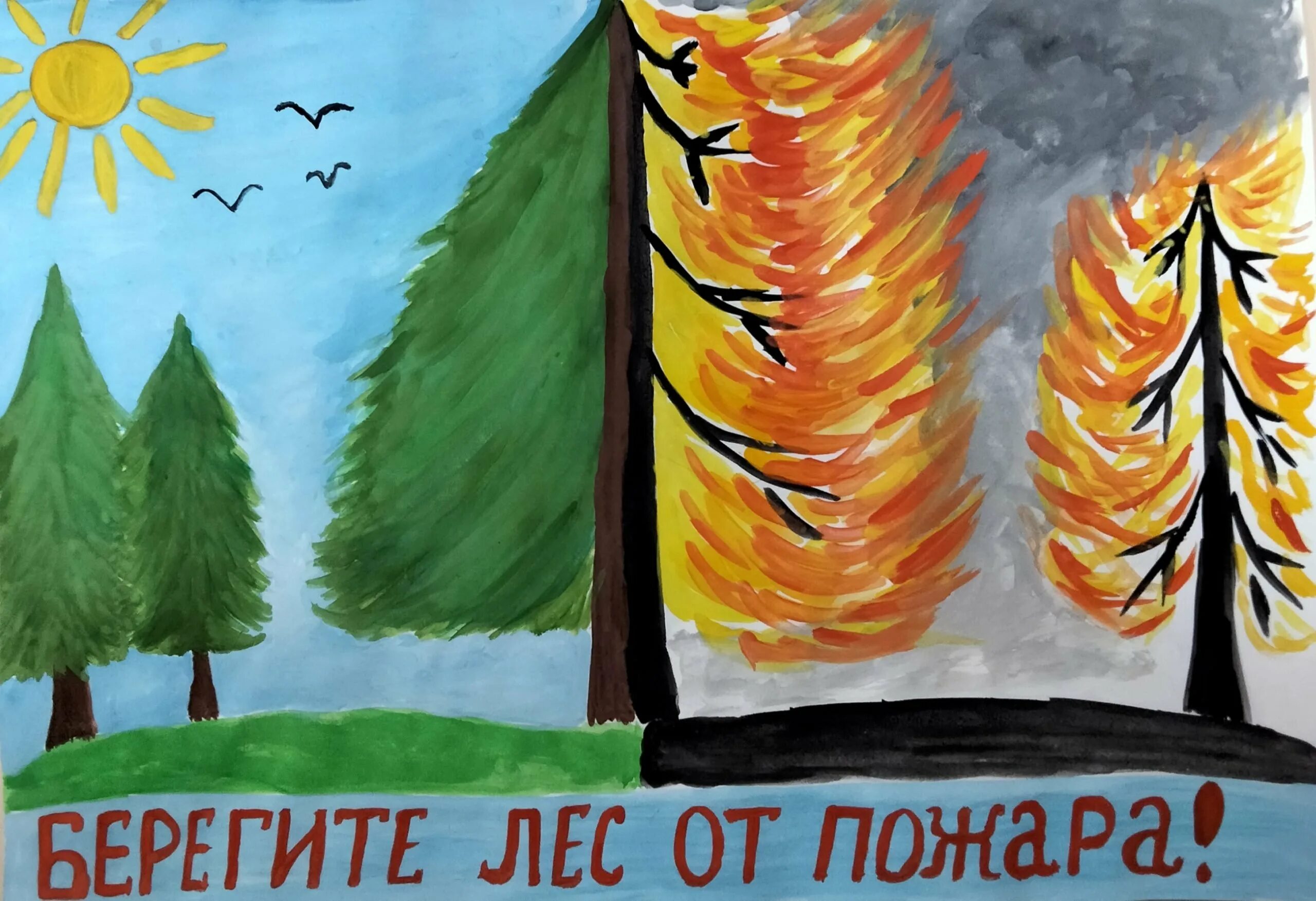Берегите лес детям. Берегите лес детям