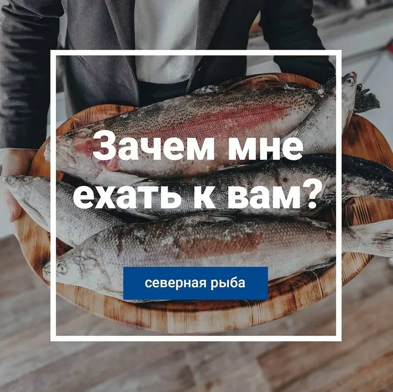 Купить рыбу в иркутске. Рыба Иркутск. Рыба из Иркутска. Северная рыба Иркутск магазин. Олиговская рыба Иркутск сайт.