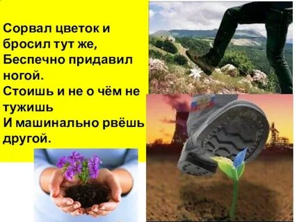 Сорванный цветок 2