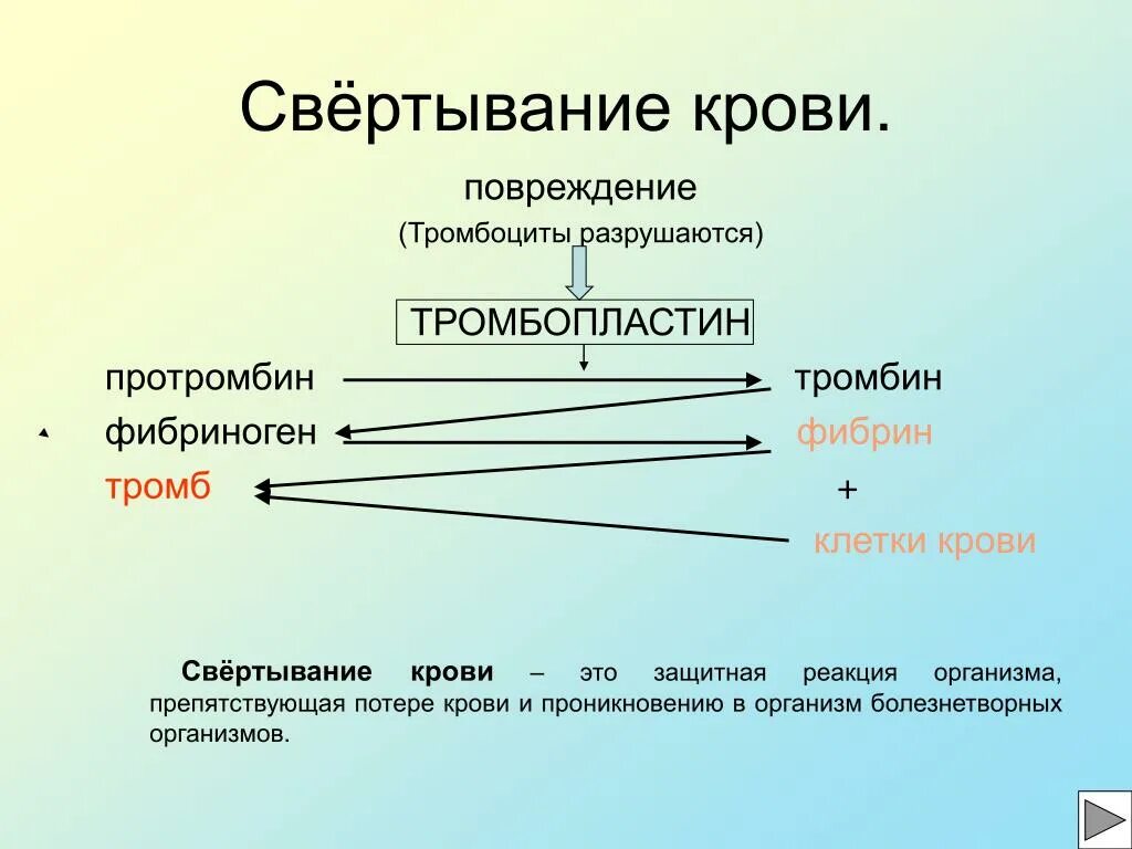 Превращение протромбина в тромбин разрушение тромбоцитов