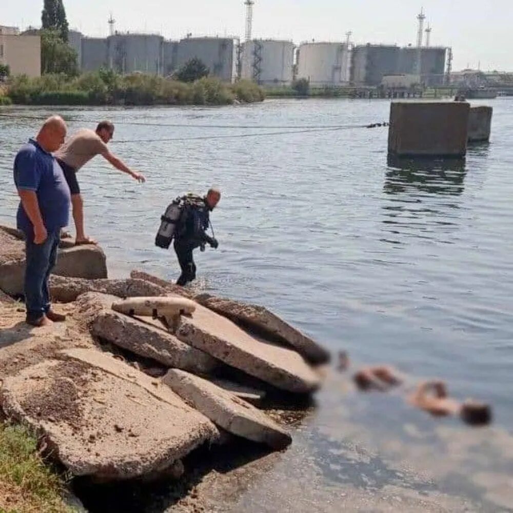 Корабль в Черноморске утонувший. Море переплыл а в луже утонул. Утонул в зерне