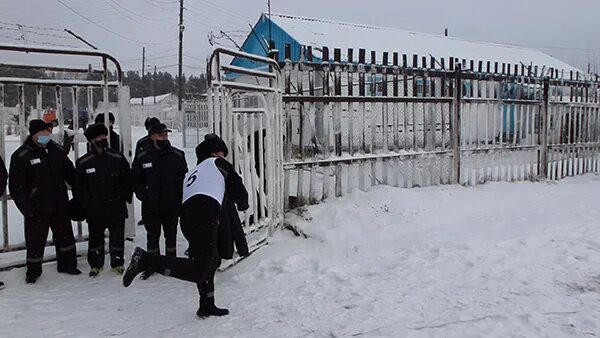 Колония бузулук. ИК 19 Тавда. ГУФСИН ик19 Тавда. Колония в Тавде Свердловской области. ИК 19 Г Тавда Свердловская обл.