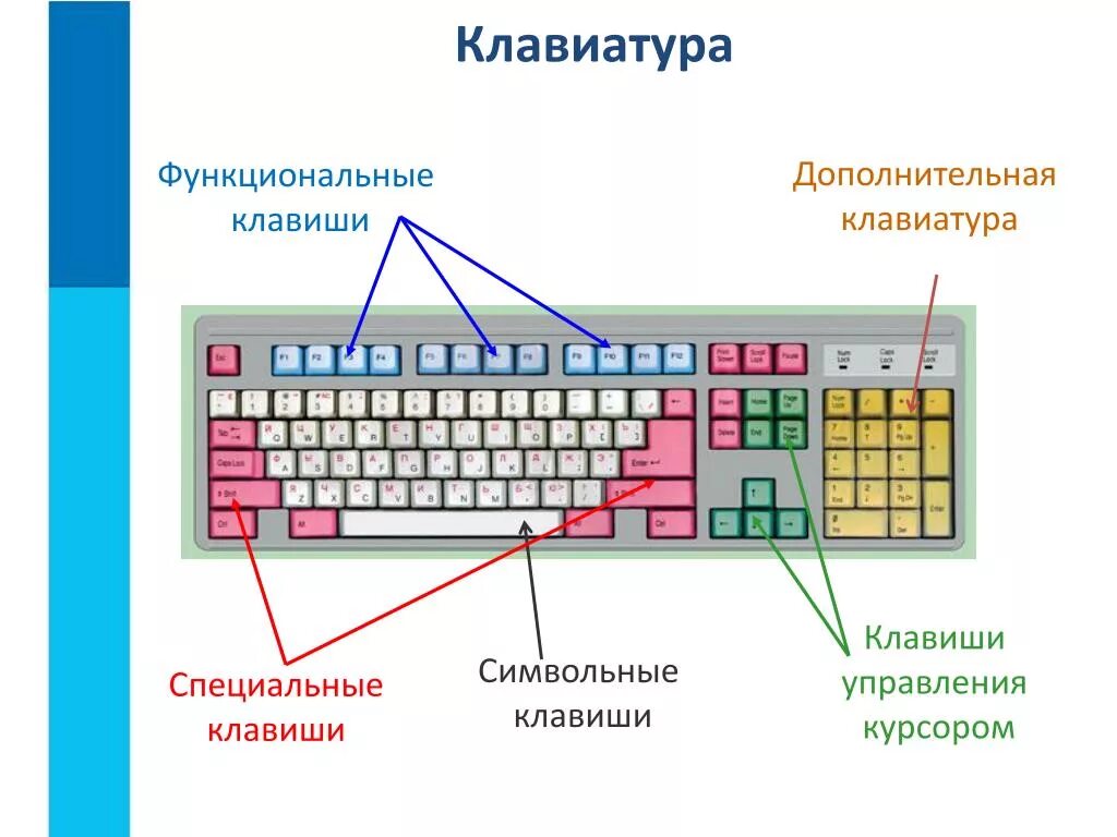 Найти какой клавиш. Назначение функциональных клавиш на клавиатуре. символьные клавиши на клавиатуре. клавиатура группы клавиш функциональные схема. какие кнопки управления на клавиатуре компьютера.