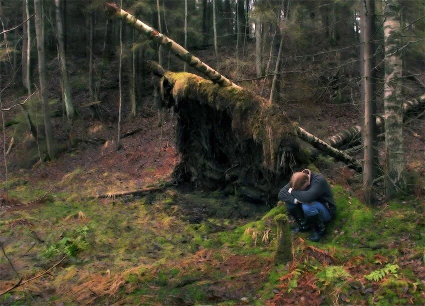 Что делают люди в лесу. Человек заблудился в лесу. Потерялся в лесу. Человек потерялся в лесу. Скрывается в лесу.