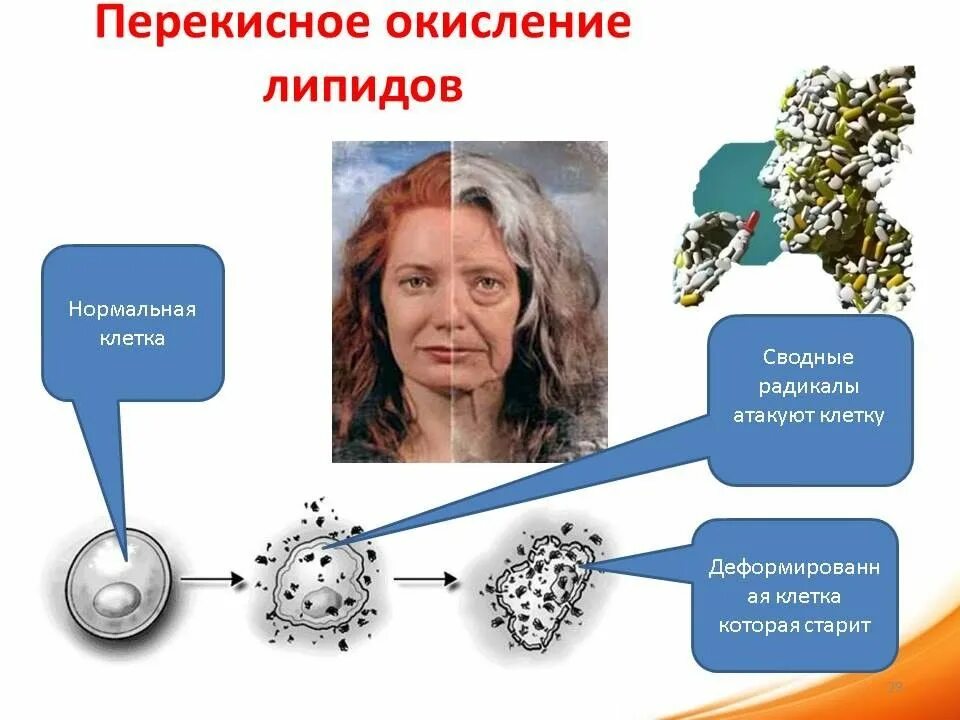 Окислительный стресс организма