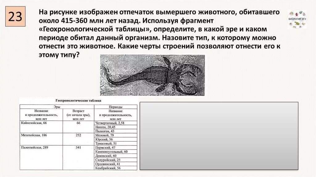 Назовите данные вымершие организмы. ЕГЭ по биологии задания. Задания на геохронологическую таблицу ЕГЭ биология. Задания по Эрам и периодам биология ЕГЭ. Задание на геохронологическую таблицу ЕГЭ.