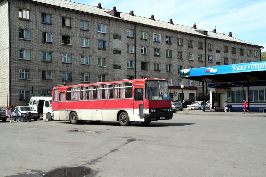 Новокузнецк горно алтайск автобус. Автовокзал Горно-Алтайск. ПАТП Горно-Алтайск. Автовокзал в Горно Алтайске. Автобус Икарус Горно-Алтайск.