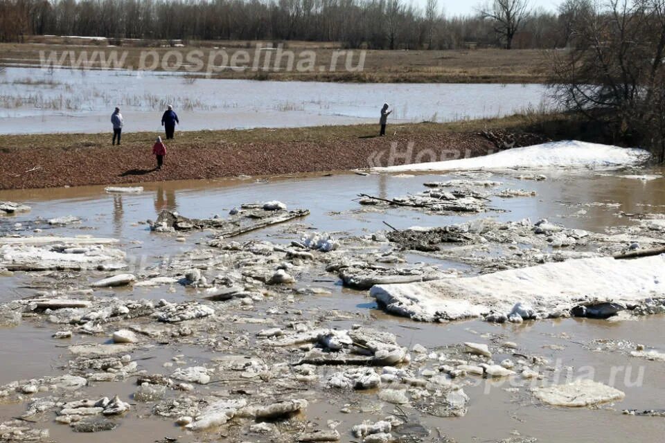 Прочитайте после реки разлива на осталась. Разлив на реке Воронеж. Разлив реки в 2012 году. Разлив Цивиля. Разливы река Швиль.