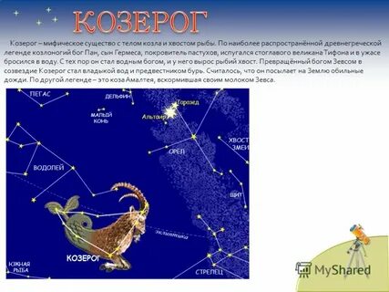 Стоит коза что это за созвездие