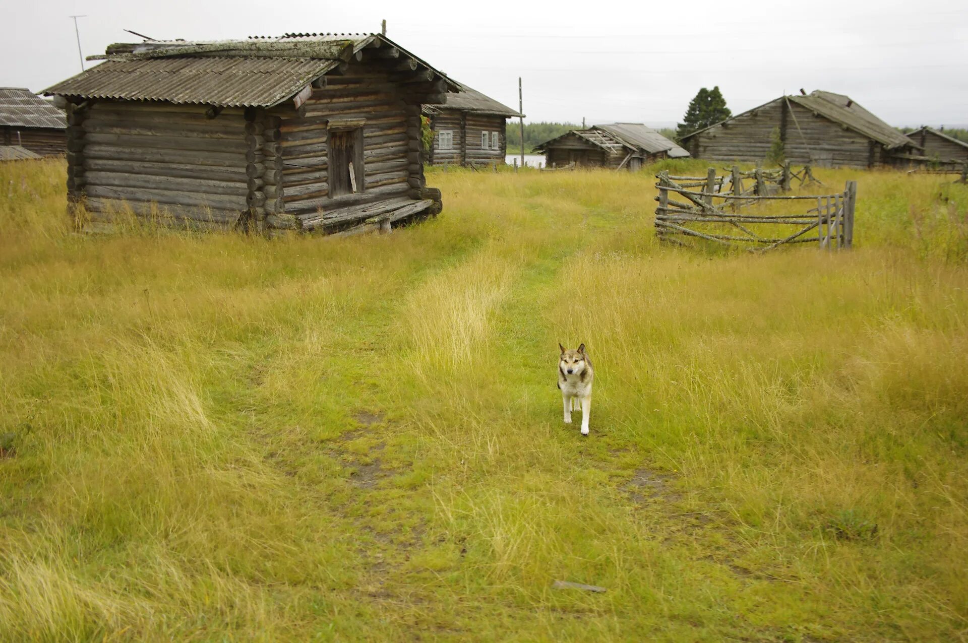 Притоки мезени. Погода на месяц норвежский в мезени. Аэропорт мезень. Мезень (город). Пинега мезень.