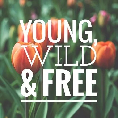 Young Wild And Free Скачать