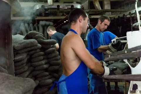 Завод гена