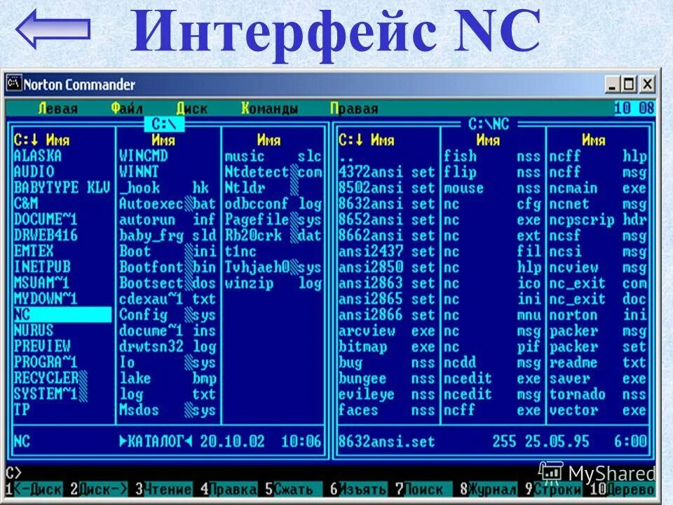 Открой дос. Программная оболочка Norton Commander. Оболочка ОС Norton Commander. Файловый менеджер Norton Commander. Операционная система Нортон командер.