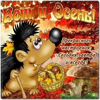 Первый день осени юмор