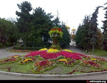 Пятигорск цветочный