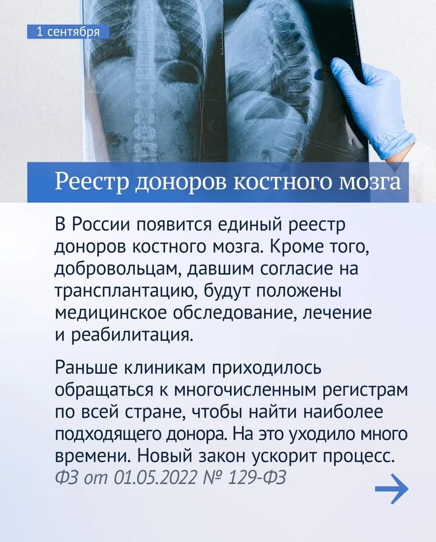 Законы которые вступают в силу в сентябре. Законы, вступающие в силу в сентябре.