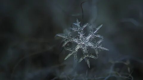 Как сделать в тг снежинки на андроид
