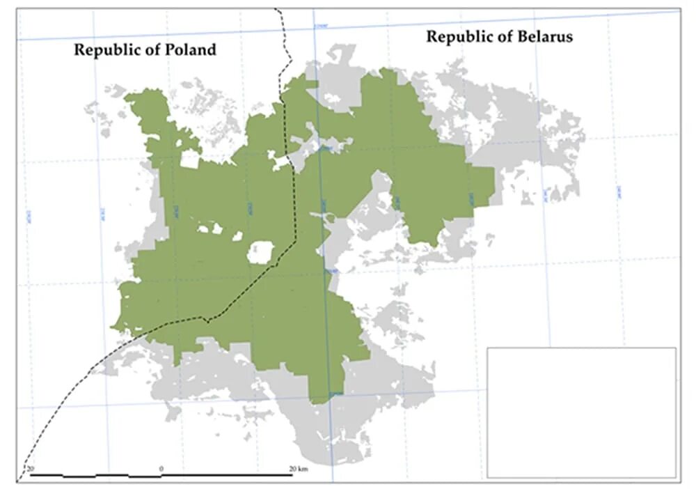 Территория Беловежской пущи на карте. Беловежская пуща на карте. Беловежская пуща расположение на карте. Границы Беловежской пущи на карте.