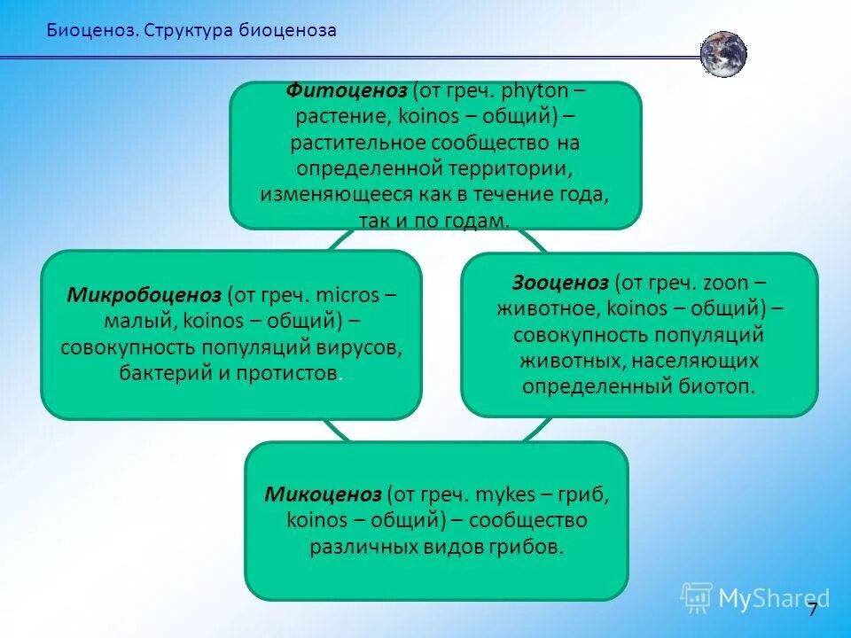 Понятие о растительных сообществах. Пространственная структура экосистемы презентация. Состав биоценоза. Растительное сообщество на определенной территории. Типы сообществ растений.