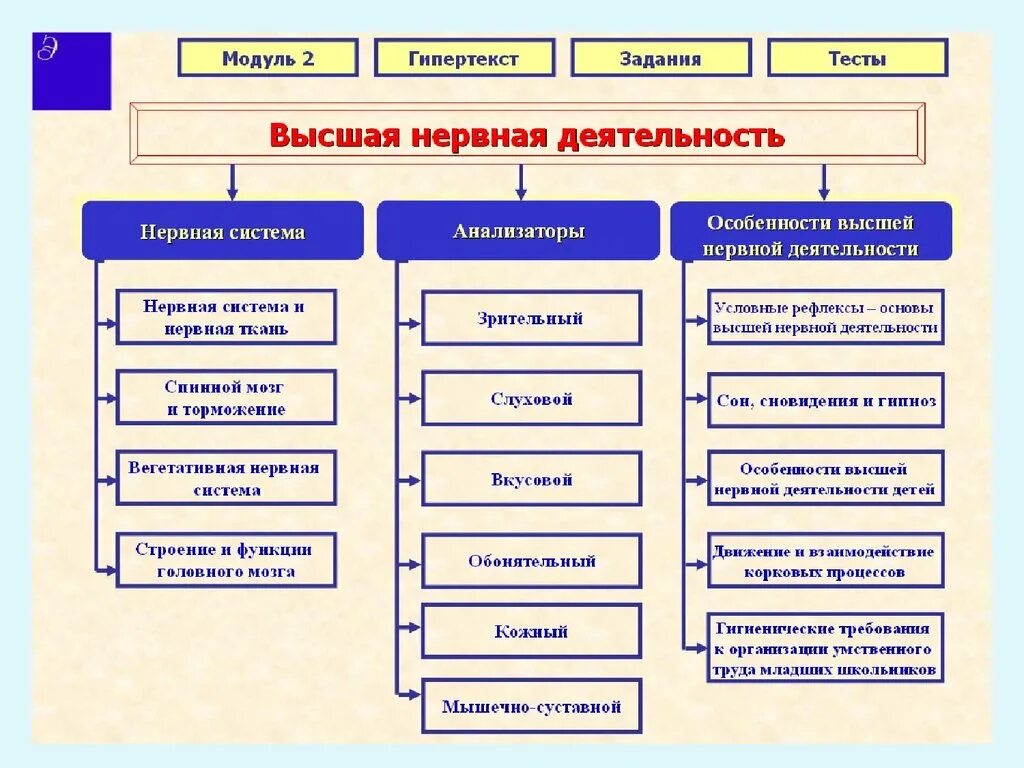 Признаки специфической нервной деятельности. Низшая нервная деятельность. Процессы высшей нервной деятельности. Высшая и Низшая нервная деятельность человека. Физиология. Понятие о высшей и низшей нервной деятельности.