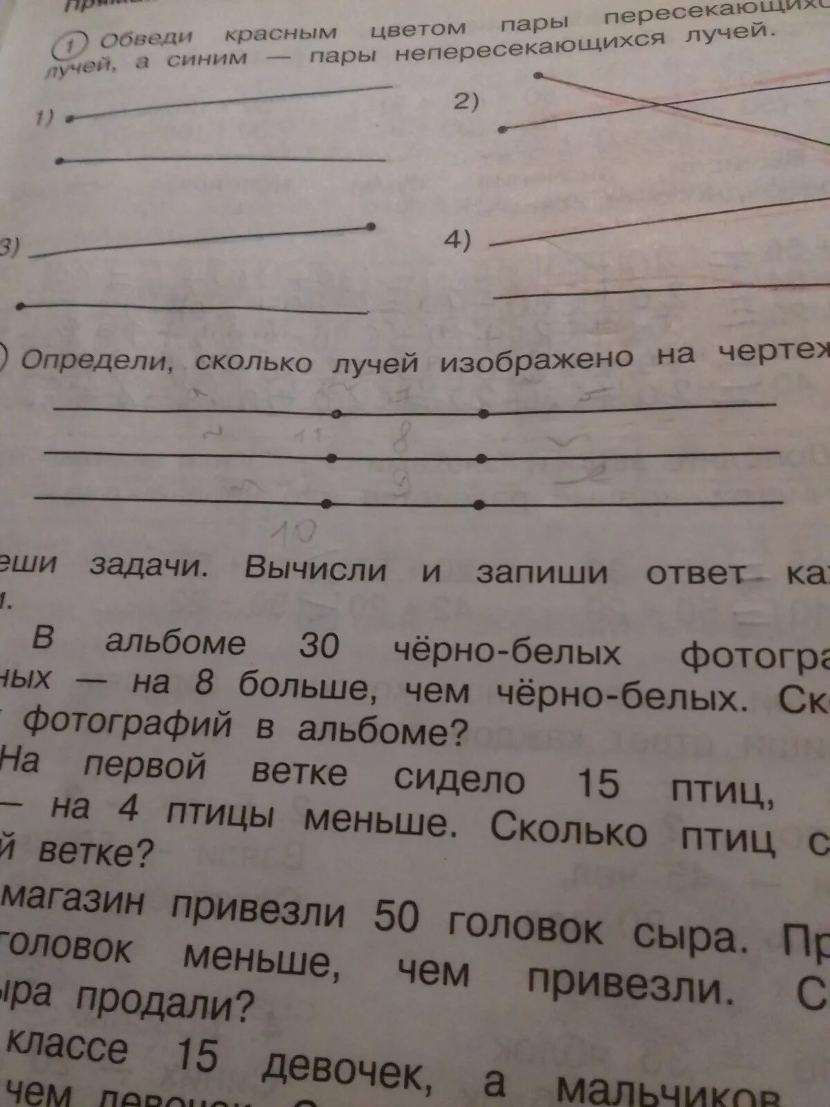 Определи сколько лучей. Сколько лучей изображено на рисунке. Сколько лучей изображено. Сколько лучей лучей на рисунке.