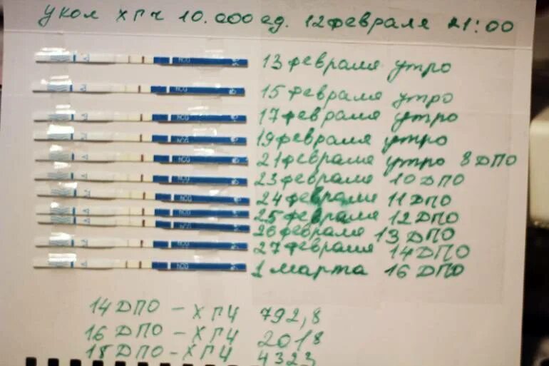 Тест на беременность после укола овитрель. Укол хгч при стимуляции. Тест би шур 12 дпо. Укол хгч при стимуляции. Гонадотропин хорионический 5000 ед.