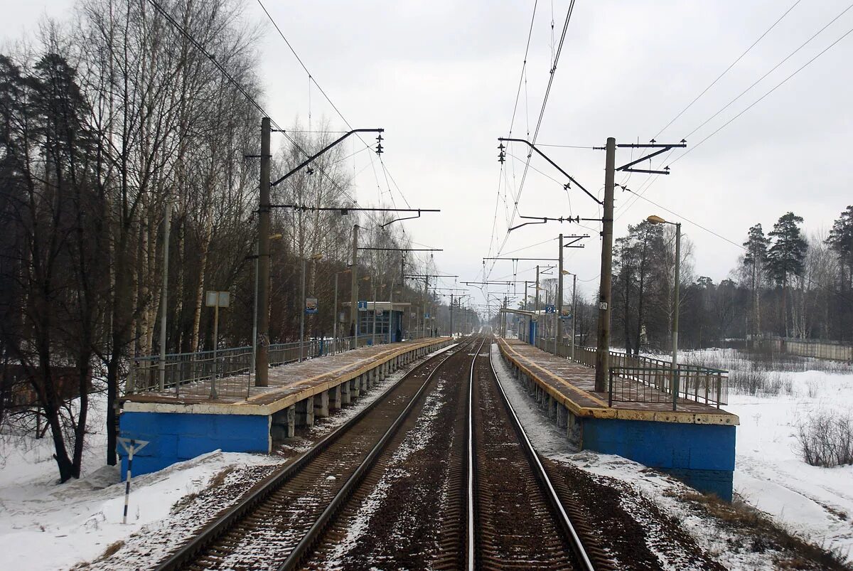 Чкаловская ярославское направление. Жд станция чкаловская. Платформа чкаловская ярославского фото. Станция чкаловская щелковский район. Чкаловская станция электрички.