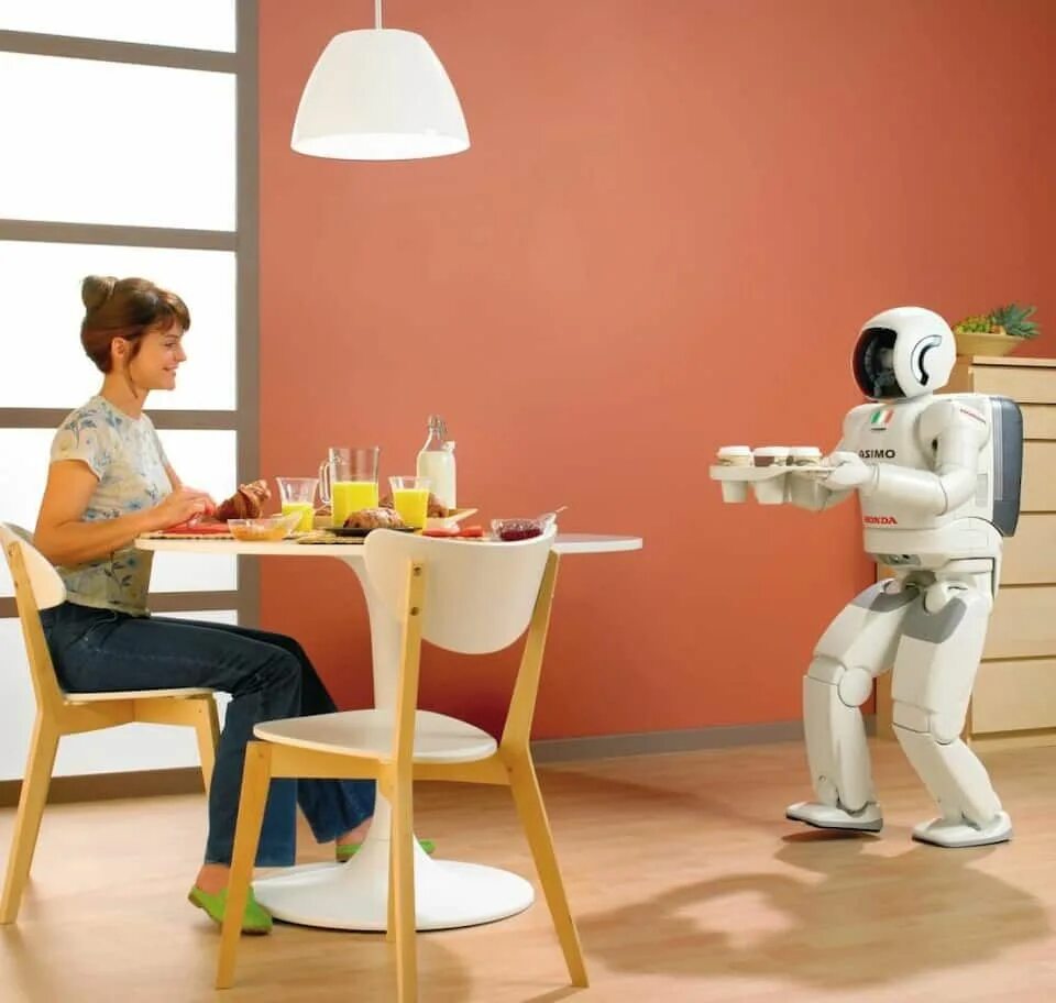 Бытовые роботы. Робот домохозяйка. Робот няня. Роботы. Робот уборщик.