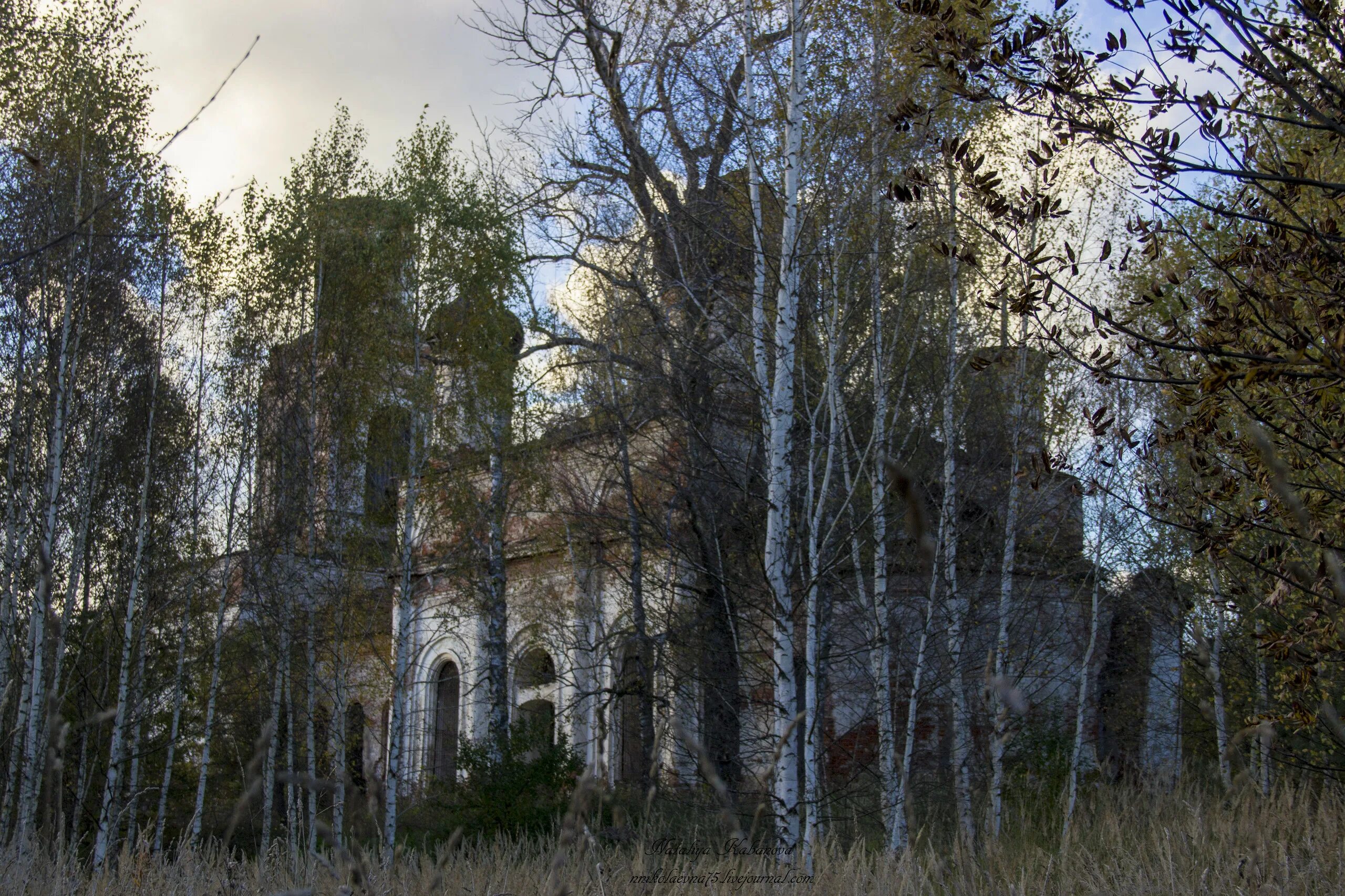 Погода зеленцово никольского вологодской. Храм Зеленцово. Село Зеленцово. Церковь Богоявления Зеленцово Вачский район. Заброшенные храмы Мордовии.