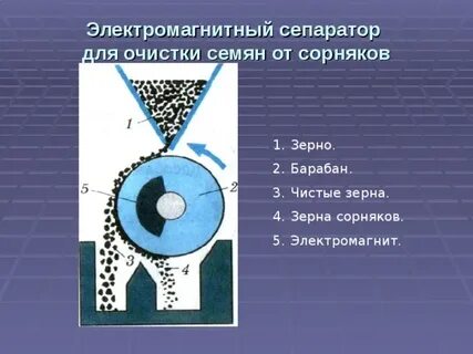 Устройство магнитного сепаратора зерна