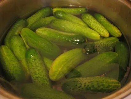 Зачем замачивать зелень в воде