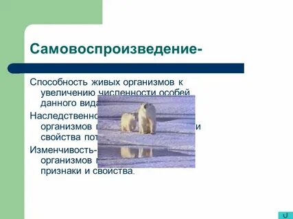 Способность живых организмов