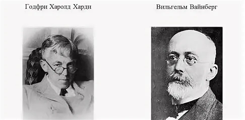 Харди математика. Г Харди и в Вайнберг. Харди Вайнберга портрет. Вайнберг биолог.