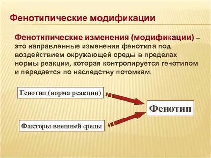 Норма реакции передается по наследству