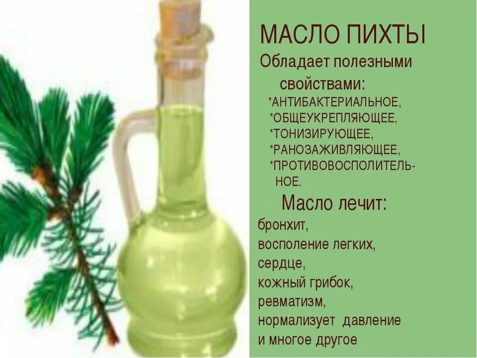 Для чего используют пихтовое масло. Масло пихты. пихтовое масло фото. лекарство из пихты. масло эфирное пихтовое этикетка.