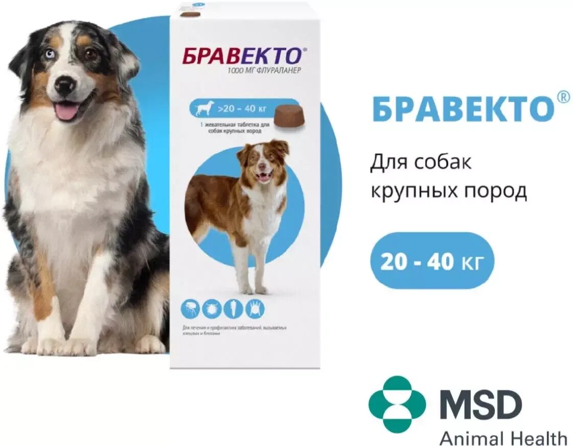 MSD animal Health Бравекто для собак 20-40 кг, таблетки 1000 мг. Бравекто 20-40 таблетка. Бравекто 10-20 кг. Таблетки от клещей Бравекто 20-40 кг.