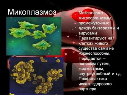 Микоплазмоз симптомы причины