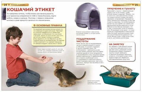 Детская энциклопедия кошки