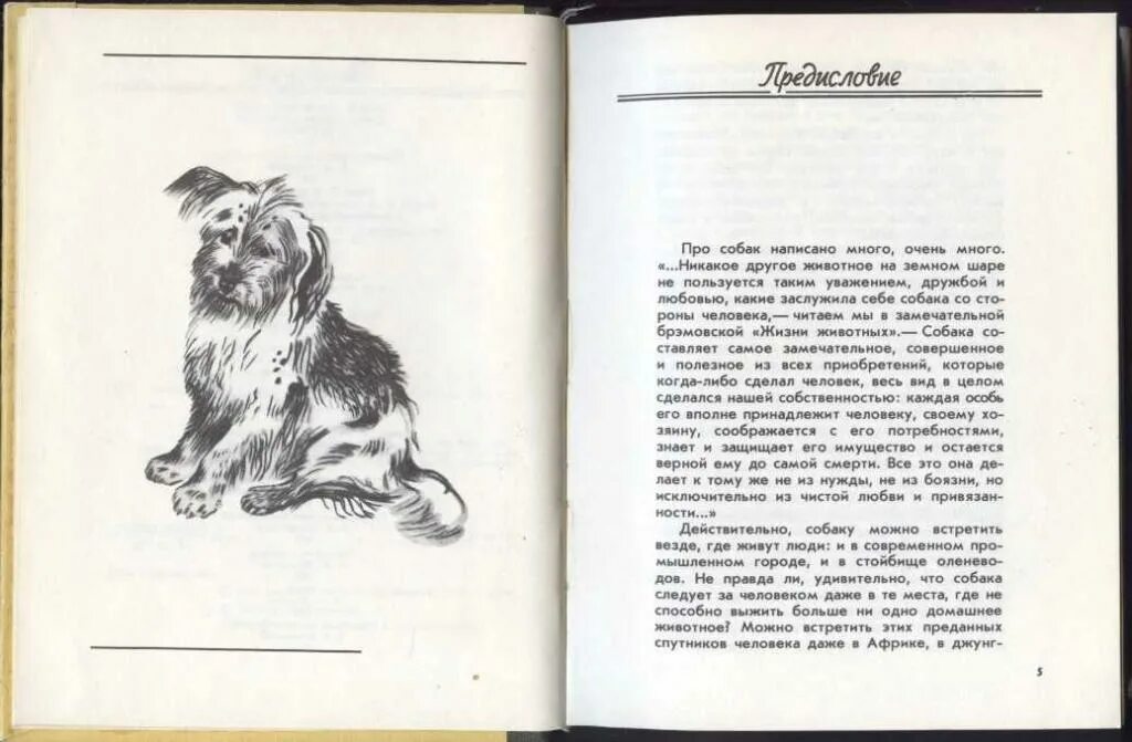 Как пишется собаченок