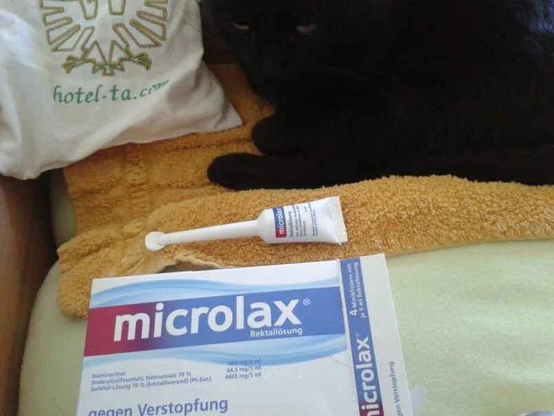 У кошки запор как помочь. У кошки запор как помочь. Слабительное для кошки от запора. У кошки запор как помочь. Клизма кошке при запоре.