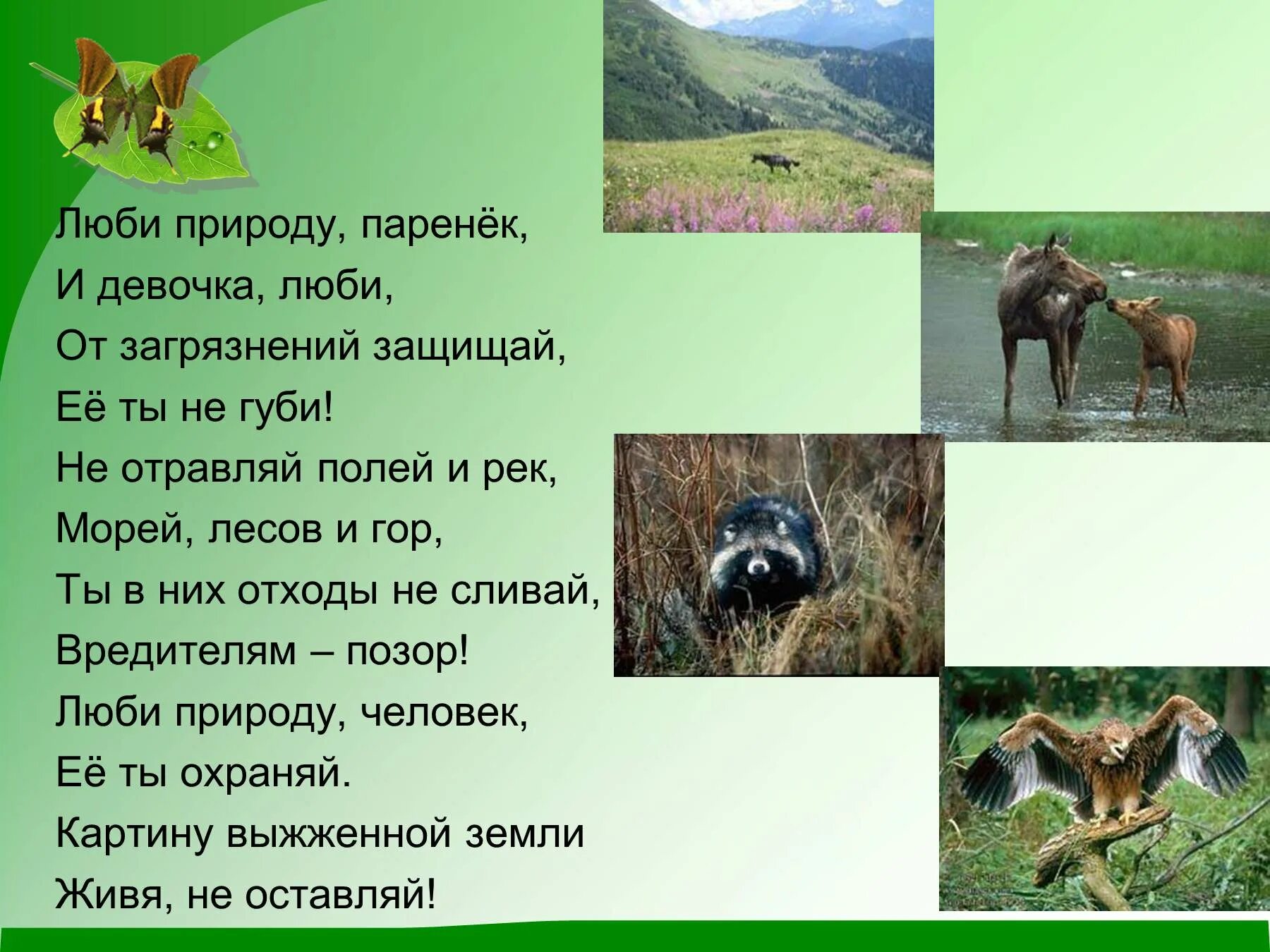 Презентация по охране природы. Презентация на тему природа. Охрана природы презентация. Охрана природы в нашем крае.