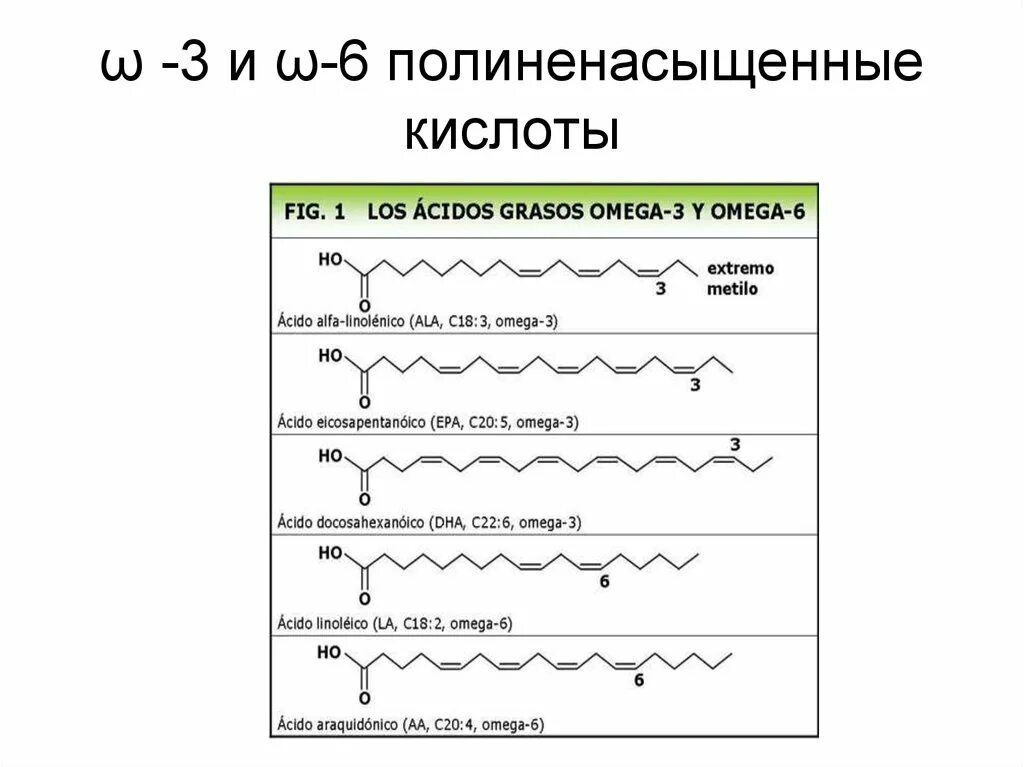 Полиненасыщенные жирные кислоты w-3 w-6. Полиненасыщенные жирные кислоты формулы. Незаменимые полиненасыщенные жирные кислоты формулы. Полиненасыщенные жирные кислоты классификация. Источник 3 жирных кислот ответ на тест