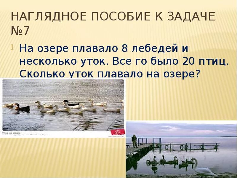 Задачи про озеро. Много уток на озере. Сколько уток. Несколько уток. На озере плавала 1 утка.