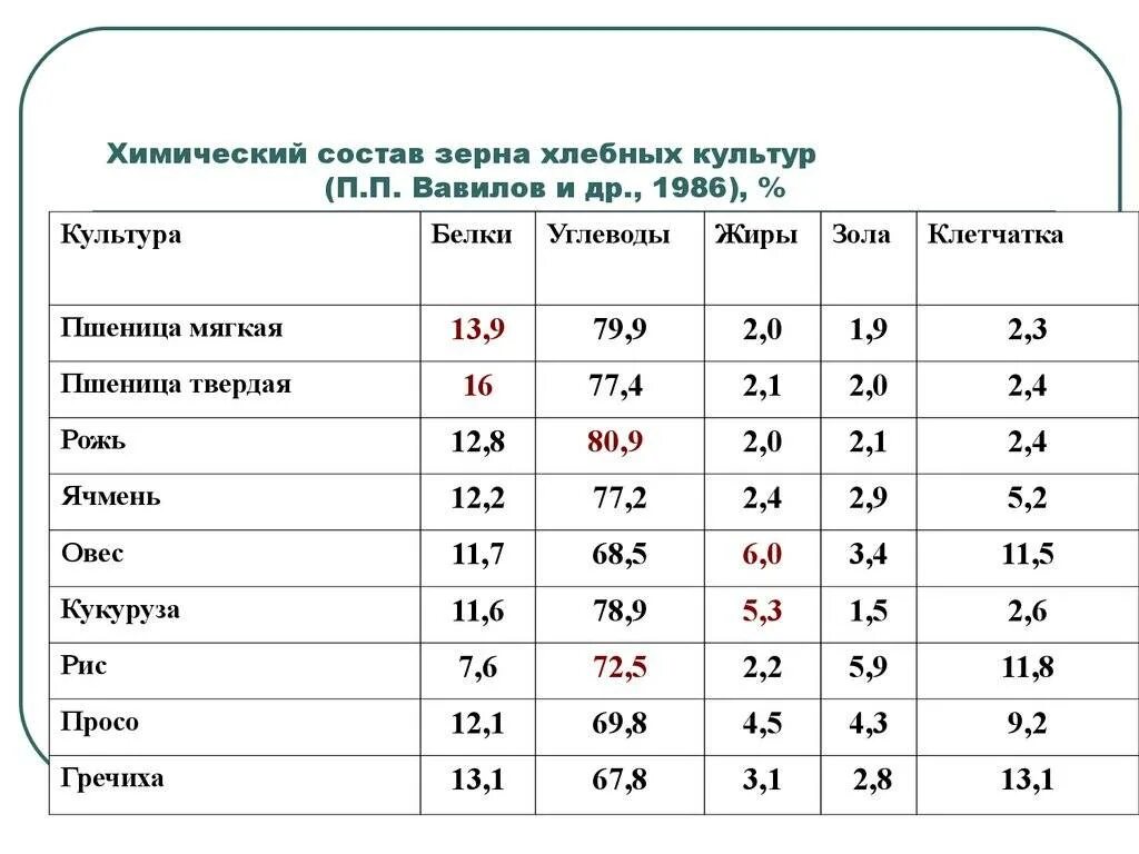Сколько белка содержится в семечках